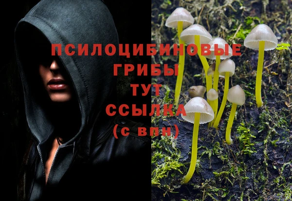 кокс Алексеевка